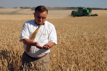 Урожай горит, экспортеры давят на производителей зерна 